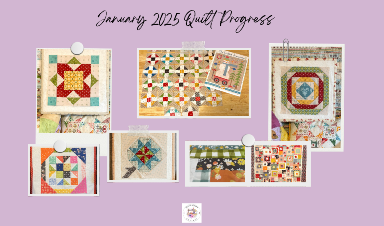 January 2025 Quilt Progress