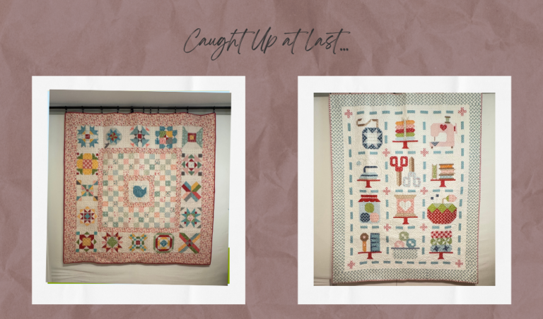 Caught Up at Last: Every Quilt Top Quilted